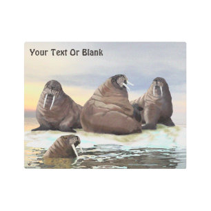 Impresión En Metal Walrus - Cuatro Hermanos