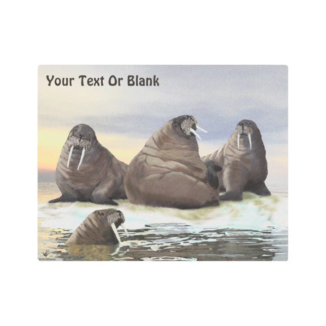 Impresión En Metal Walrus - Cuatro Hermanos (Anverso)