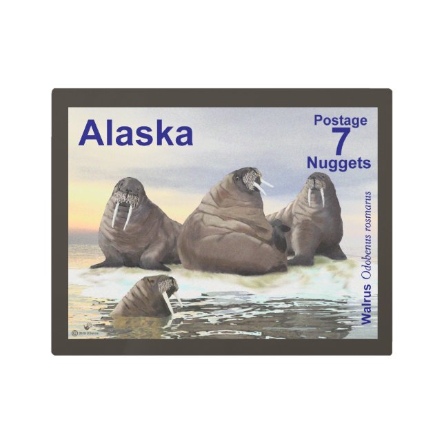 Impresión En Metal Walrus - Cuatro Hermanos - Poedador de Alaska (Anverso)