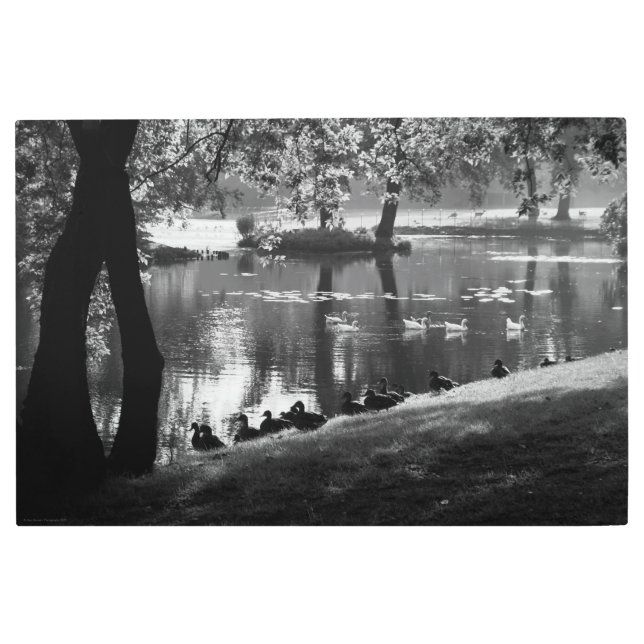 Impresión En Metal Wamecna Park Life 36x24 (90x60cm) (Anverso)