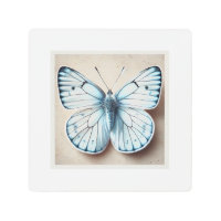 White butterflies 251024IREF243 - Watercolor