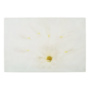 Impresión En Metal White Daisy Flower