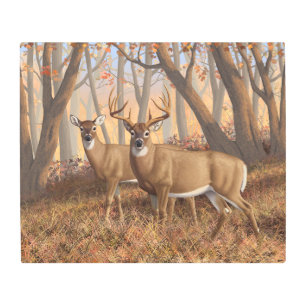 Impresión En Metal Whitetail Deer Buck & Doe Otumn Maple Woods