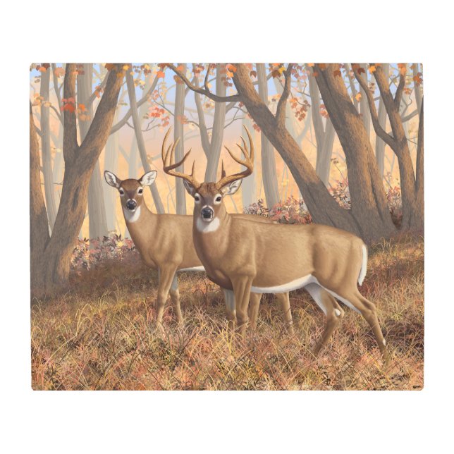Impresión En Metal Whitetail Deer Buck & Doe Otumn Maple Woods (Anverso)