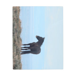 Impresión En Metal Wild Mustang