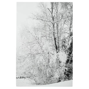Impresión En Metal Winter Whites