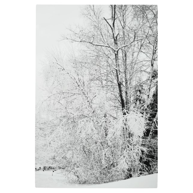Impresión En Metal Winter Whites (Anverso)