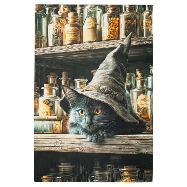 Impresión En Metal Wizard Cat: Potion Shelf Apprentice (Anverso)