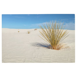 Impresión En Metal Yucca en White Sands