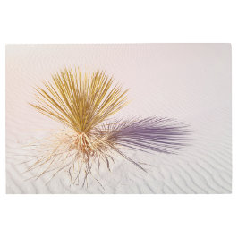 Impresión En Metal Yucca en White Sands