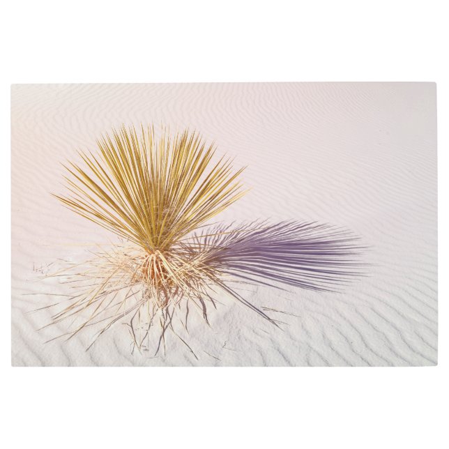 Impresión En Metal Yucca en White Sands (Anverso)