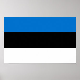 Impresión enmarcada con bandera de Estonia