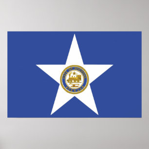 Impresión enmarcada con Bandera de Houston, EE.UU.