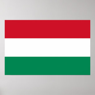 Impresión enmarcada con bandera de Hungría