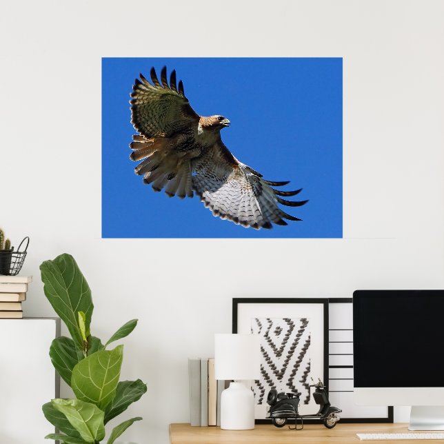 Impresión enmarcada de alas majestuosas (Oficina en casa)