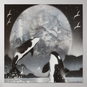 Impresión enmarcada orca