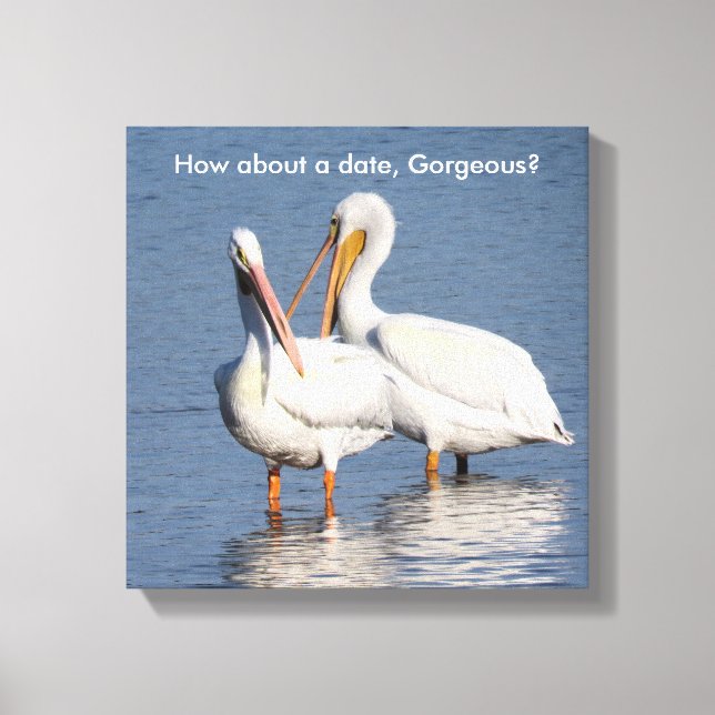 Impresión envuelta de dos divertidos pelícanos (Anverso)