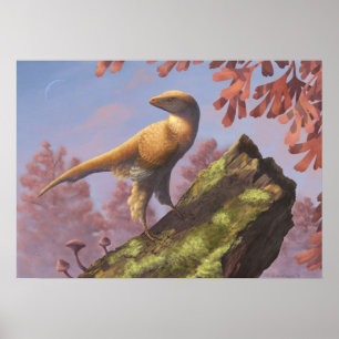Impresión Eosinopteryx