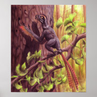Impresión Epidexipteryx