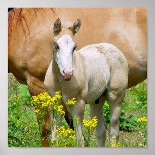 Impresión equina del poster del arte