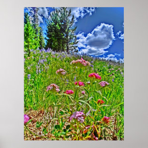 Impresión escénica de lienzos de Colorado