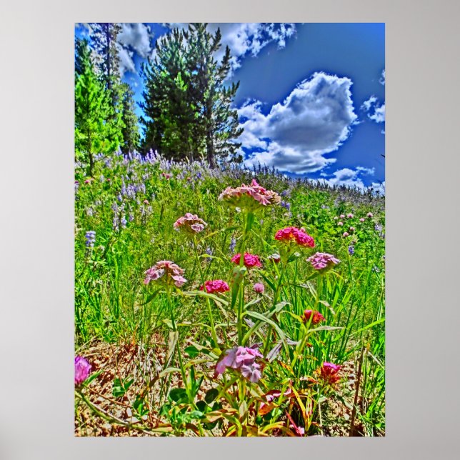 Impresión escénica de lienzos de Colorado (Frente)