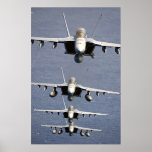 Impresión estupenda de 4 avispones FA-18