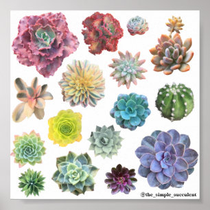 Impresión exitosa del arcoiris