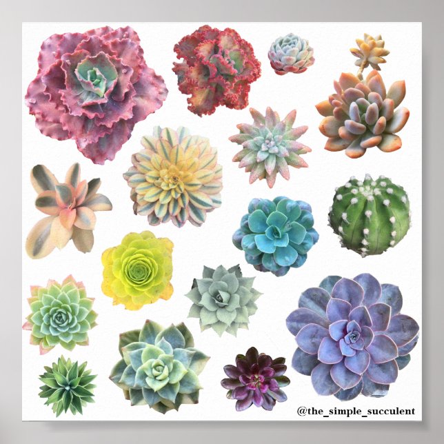 Impresión exitosa del arcoiris (Frente)