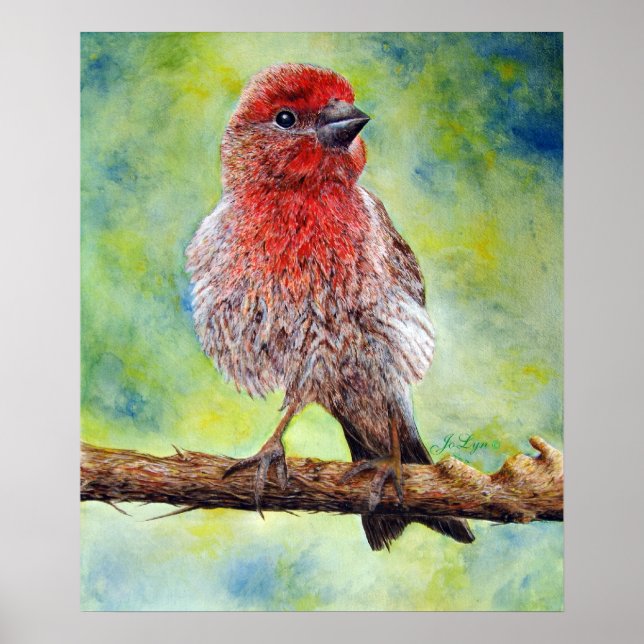 Impresión finca (Frente)