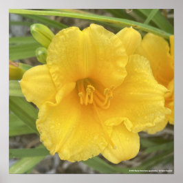 impresión floral amarilla de greyforaday