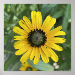 impresión floral amarilla de greyforaday