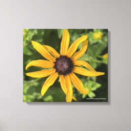 impresión floral amarilla de greyforaday