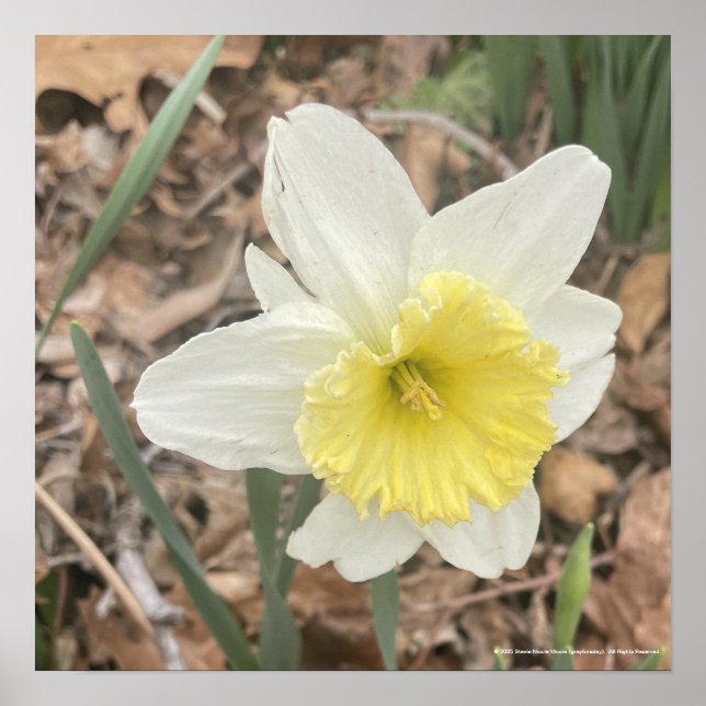 impresión floral blanca de greyforaday (Frente)