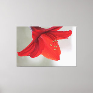 Impresión floral clásica