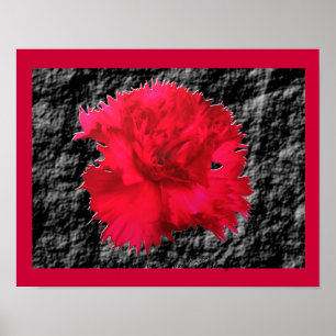 Impresión floral de fantasía de clavel rojo