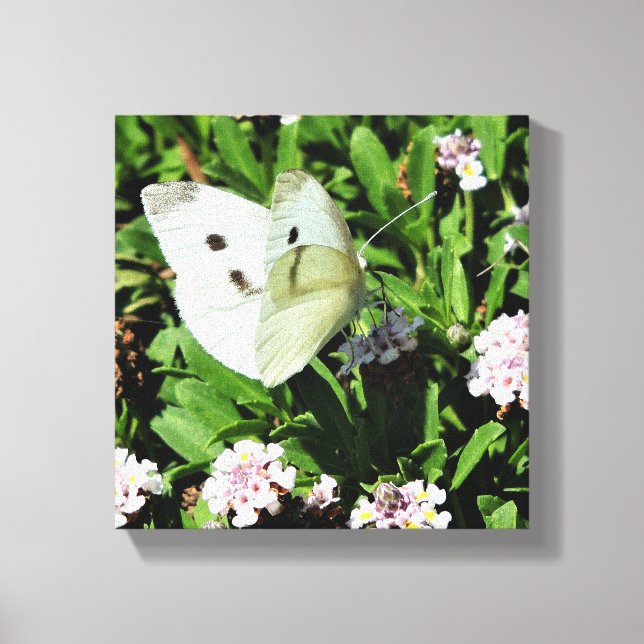 Impresión floral de mariposa en lienzo (Anverso)