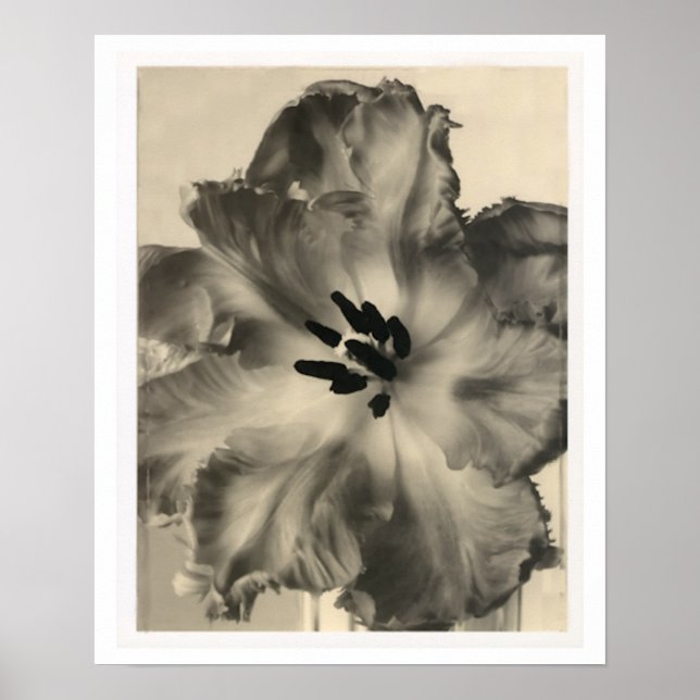 Impresión floral en blanco y negro (Frente)