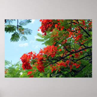Impresión floral roja hawaiana