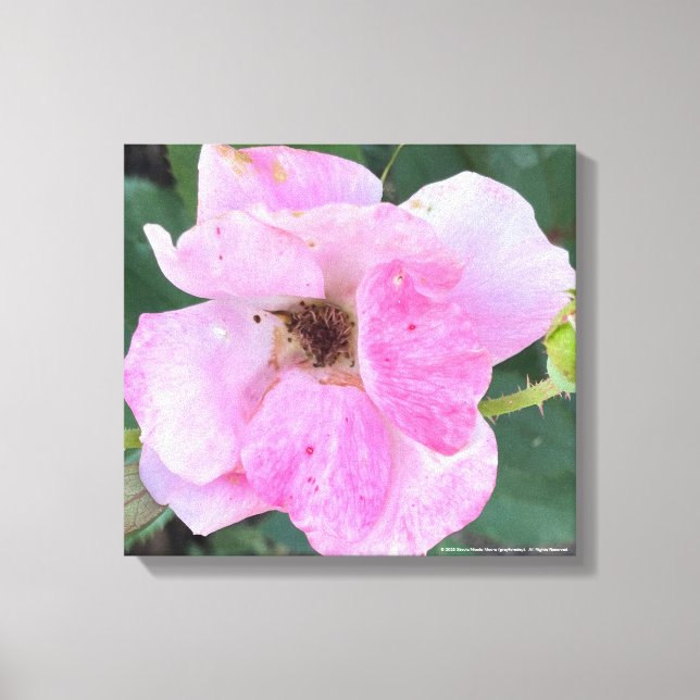 impresión floral rosa de greyforaday (Anverso)