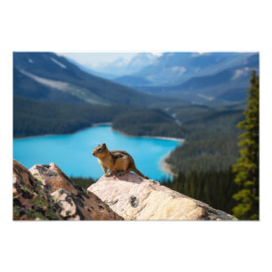 Impresión fotográfica