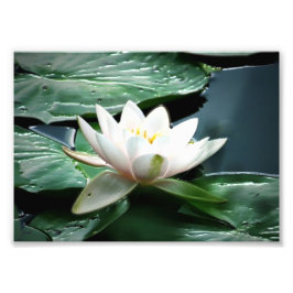 Impresión fotográfica 7x5