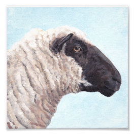 Impresión fotográfica Black Sheep Face II