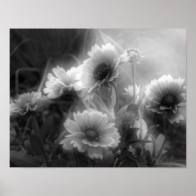 Impresión fotográfica blanca en blanco negro de fl (Frente)