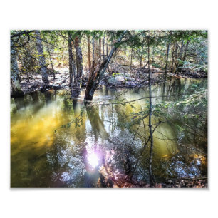 Impresión fotográfica de 10"x8"    Un Paseo Por 