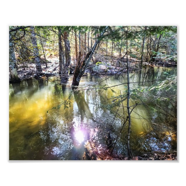 Impresión fotográfica de 10"x8" || Un Paseo Por Sa (Frente)