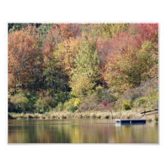 Impresión fotográfica de 10x8 en otoño en Bliss La
