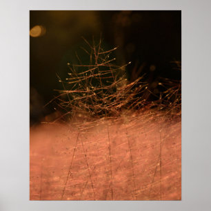 Impresión fotográfica de 16×20 Pink Muhly Jeju-do