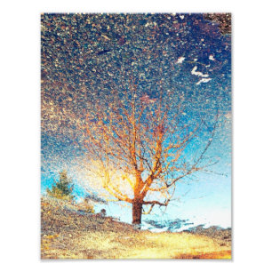 Impresión fotográfica de 8.5"x11" Puddle de c