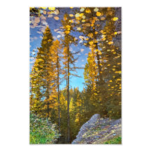 Impresión fotográfica de 8"x12" || Mountain Puddle